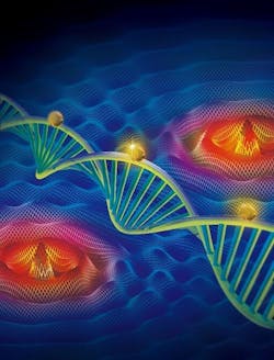 210753 Web 5d77b1ccc9e59 210753 Web 5d77b1ccc9e59