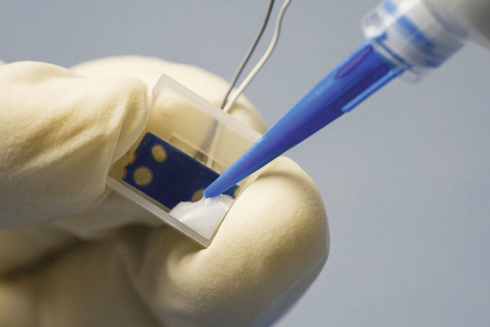 Shared User Usr2e9ff22fdc0046b695fd43423f34bf36 Mae