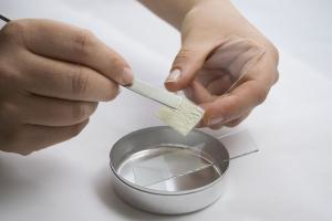 Shared User Usr5ac07ba8edde4bb491bac82e46b4eadd Mae