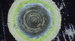 The microscopy system captures multiple color images and converts them to a 16-bit high dynamic range grayscale image used for processing.
