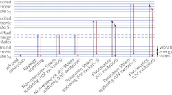 FIGURE 1. Optical processes involved in Raman scattering and other light-tissue interactions are compared.1
