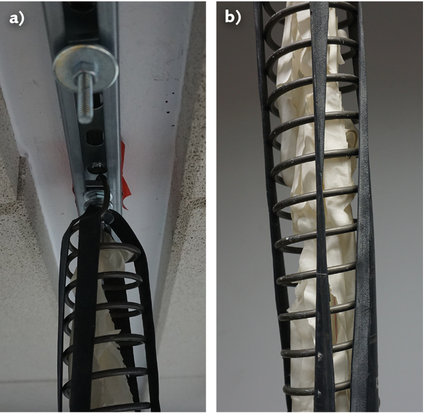 FIGURE 1. The home-built vibration isolation system is suspended from the ceiling using steel springs (a); additional damping is provided by latex gloves (b).