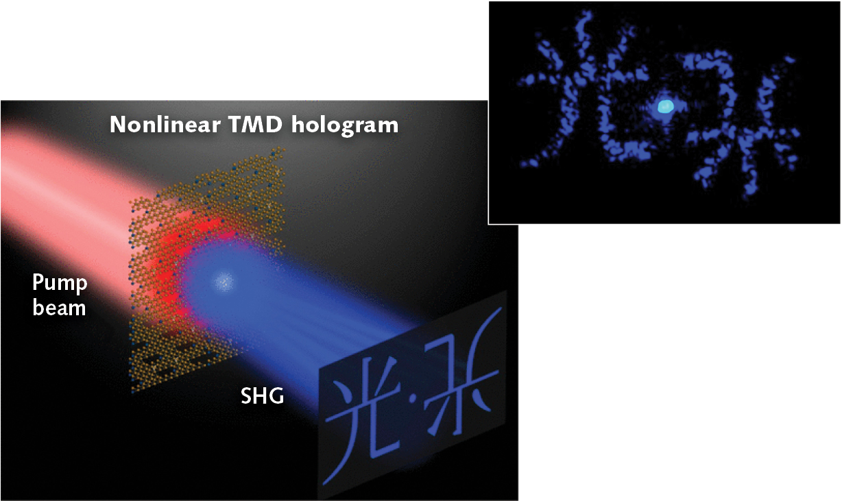 1910 Lfw Nb F1 5d9cd93649729