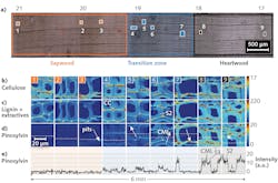 1910 Lfw Nb F3 5d9cd9a161ebc 1910 Lfw Nb F3 5d9cd9a161ebc