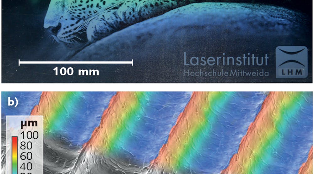 FIGURE 1. Machining examples demonstrate the potential of high-rate laser microprocessing technology: a large-area ripple-textured AISI 304 stainless-steel surface for bioinspired surface functionalization (a); an aluminum airfoil profile covered with microtextured riblet formations for drag reduction (b).