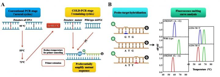 213432 Web 5d9f7980491e7