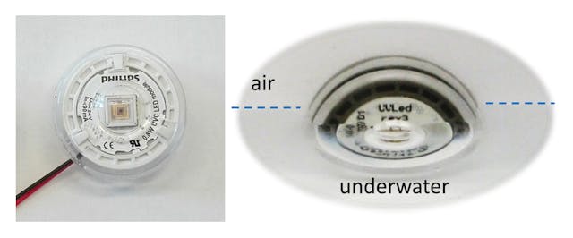 FIGURE 9. Philips UV-C LED sterilizing module within its SILASTIC MS-1003 Moldable Silicone optic. It is half underwater in the photo on the right.