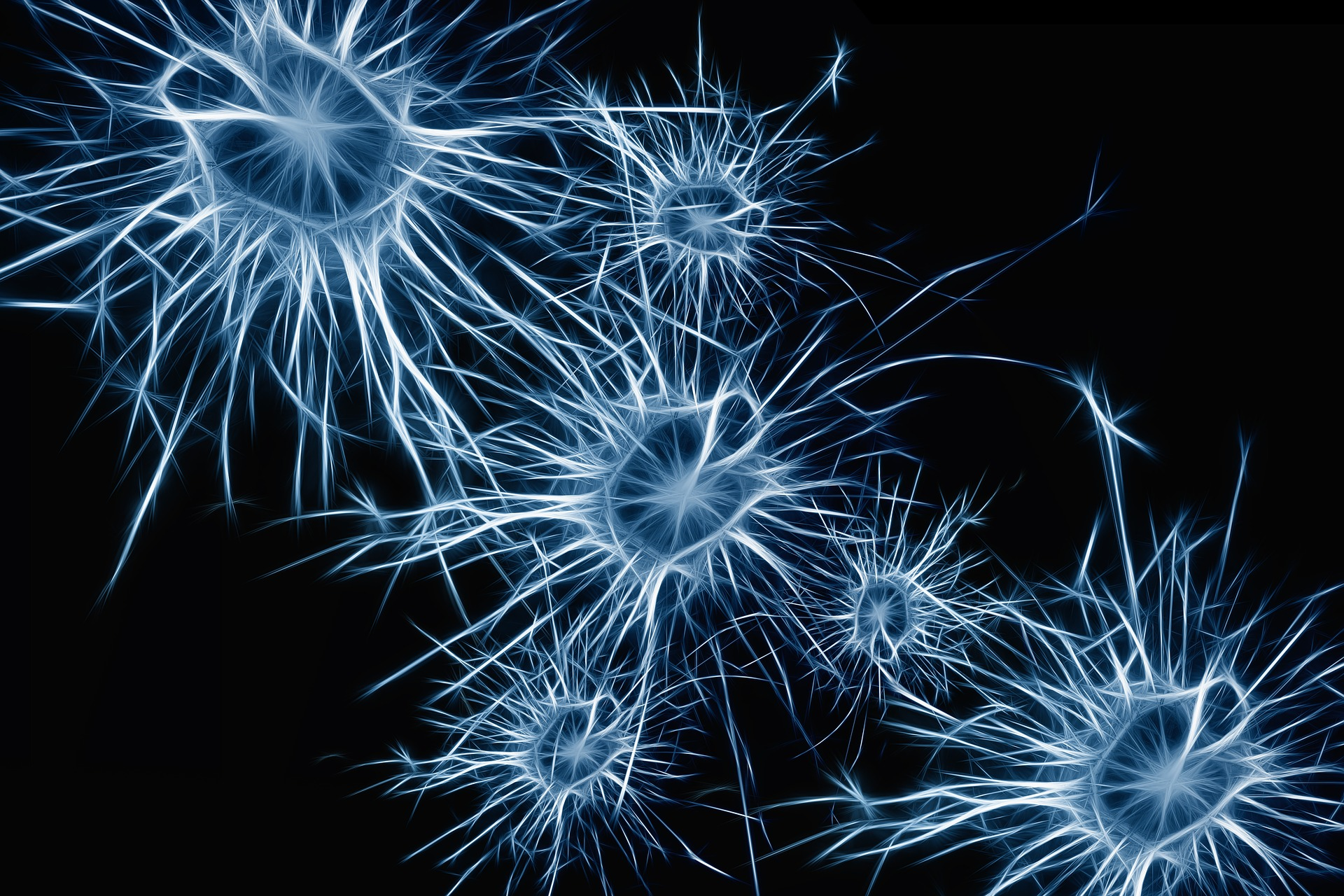 Neurons 1773922 1920 5da9f9561c125