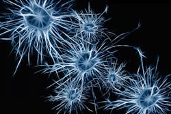 Neurons 1773922 1920 5da9f9561c125 Neurons 1773922 1920 5da9f9561c125