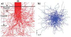 FIGURE 1. Optical scattering in turbid media, where ray tracing of a collimated beam from a homogeneous medium into a scattering tissue; the light diffuses after traveling 1 transport mean free path (TMFP). Ray tracing of the light emitted from a fluorophore inside a scattering tissue is also shown (b).