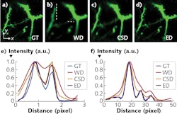 FIGURE 3. Numerical simulations enable comparison of extended detection with other temporal focusing imaging techniques, showing a ground truth (GT) image of neural structures (a); images produced by wide-field detection (WD), confocal-slit detection (CSD), and the proposed extended detection (ED), respectively (b-d); and x- and y-axis intensity profiles along dash lines in (b)—the simulation shows that WD produces blur on both axes (e-f). While CSD can reduce blur along the x-axis, it fails to preserve fine structure detail along the y-axis. By contrast, ED can recover details in both directions. FIGURE 3. Numerical simulations enable comparison of extended detection with other temporal focusing imaging techniques, showing a ground truth (GT) image of neural structures (a); images produced by wide-field detection (WD), confocal-slit detection (CSD), and the proposed extended detection (ED), respectively (b-d); and x- and y-axis intensity profiles along dash lines in (b)—the simulation shows that WD produces blur on both axes (e-f). While CSD can reduce blur along the x-axis, it fails to preserve fine structure detail along the y-axis. By contrast, ED can recover details in both directions.