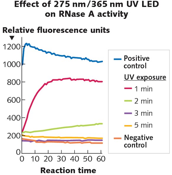 FIGURE 3. Two different UV wavelengths act synergistically to perform inactivation of RNase A.