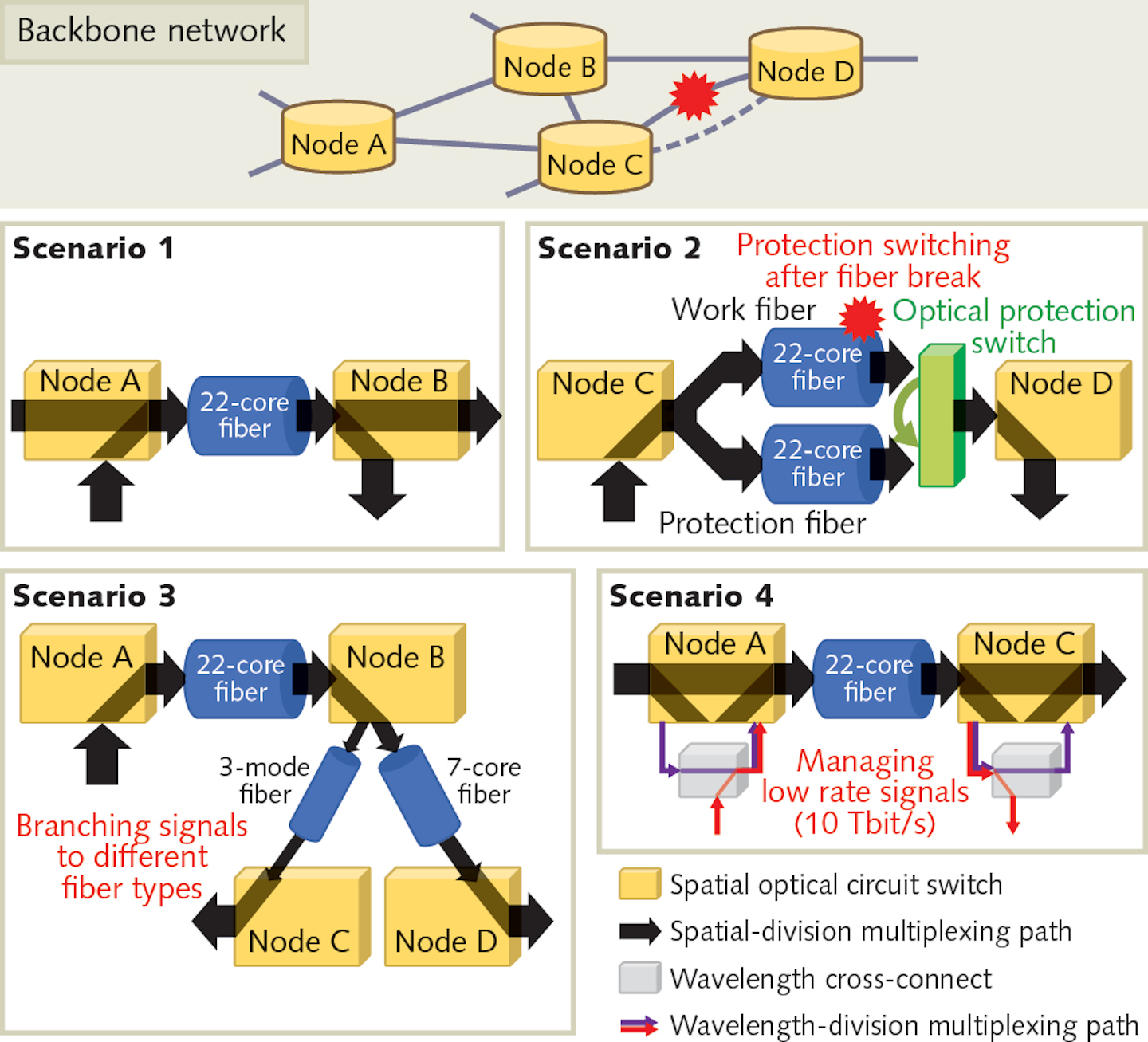 NICT demonstrates a 1 petabit per second optical network node Laser