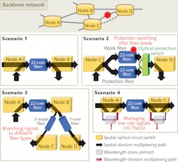 1911 Lfw Nb F2 1911 Lfw Nb F2