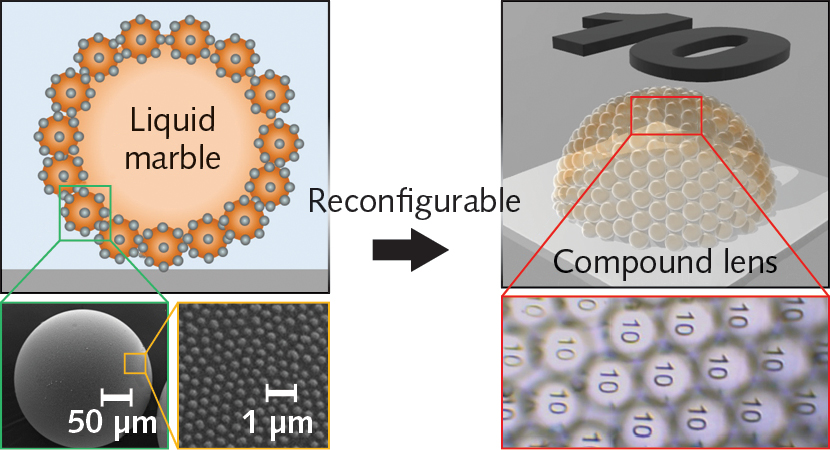 1911 Lfw Nb F3 5dc49192e5114