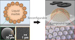 1911 Lfw Nb F3 5dc49192e5114 1911 Lfw Nb F3 5dc49192e5114