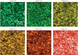 FIGURE 2. Ramkumar Sabesan and his colleagues at the University of Washington have developed a scanning laser ophthalmoscope that can image at multiple wavelengths with the same magnification. FIGURE 2. Ramkumar Sabesan and his colleagues at the University of Washington have developed a scanning laser ophthalmoscope that can image at multiple wavelengths with the same magnification.