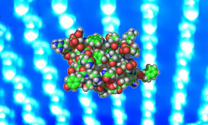 215869 Web 5dc061da9e9de