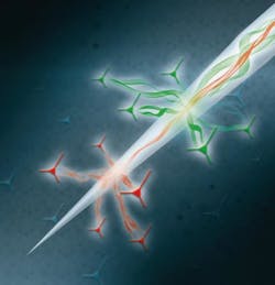 217254 Web 5dd4610837b44 217254 Web 5dd4610837b44