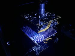 217536 Web 5dd8291ddc5c8 217536 Web 5dd8291ddc5c8