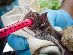 Dsc00884 5dd30158548b8 Dsc00884 5dd30158548b8