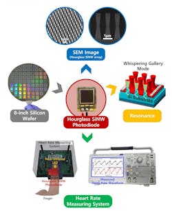 Silicon Nanowire Photodiodes