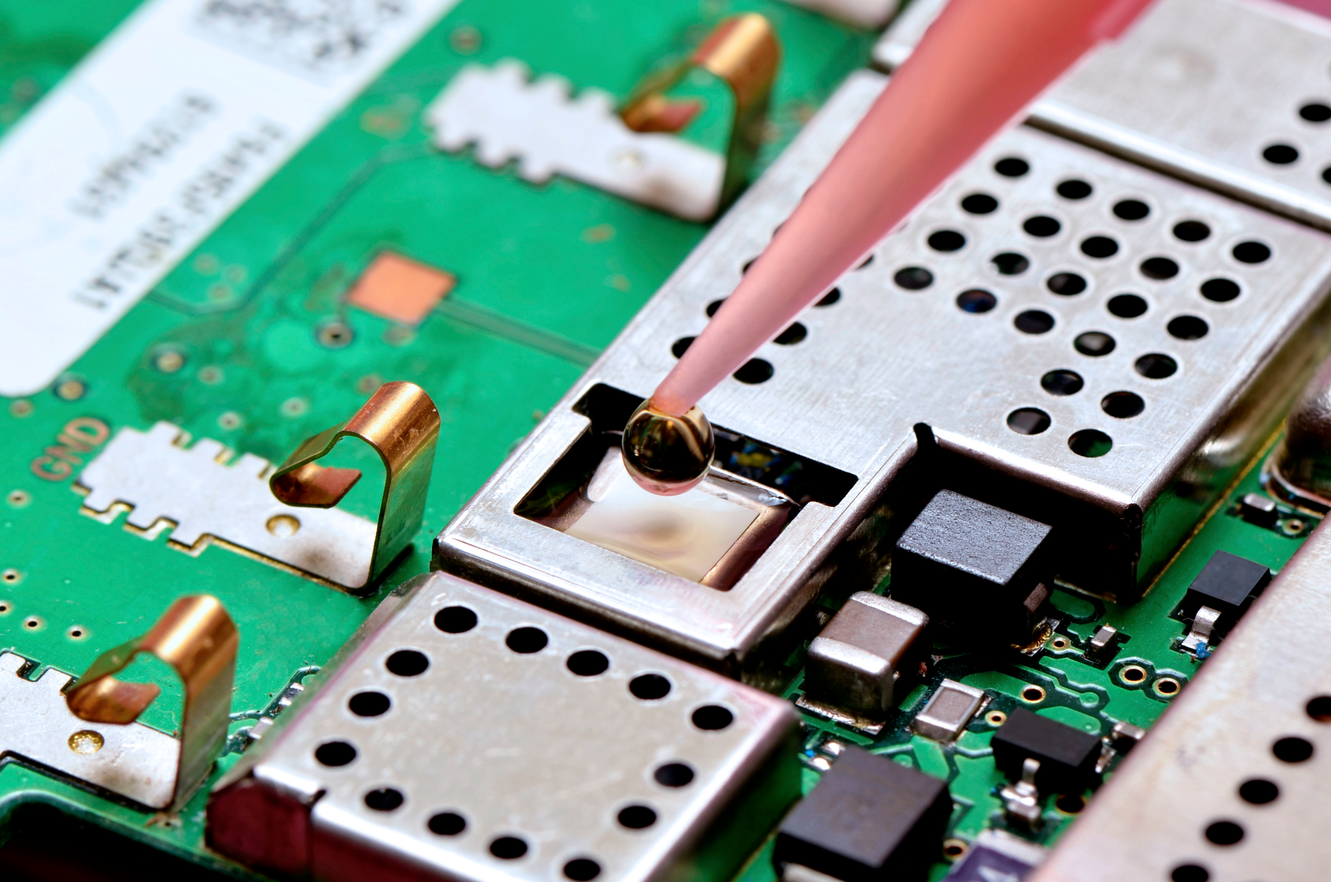 1603 Lfw Pro 8 5df7f88d9f1ae