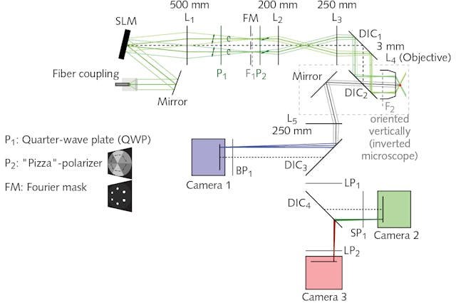 FIGURE 2. The optical layout of the new high-speed structured illumination microscope includes a spatial light modulator (SLM; the SXGA-3DM from Forth Dimension Displays), which serves as a switchable, binary optical grating to generate three interference patterns (quarter-wave plate, &ldquo;pizza&rdquo; polarizer, and Fourier mask) that are projected onto a specimen with different phases and at three different angles. The patterns are illuminated by a 12-mm-diameter collimated beam with from an argon-krypton (ArKr) laser (Innova 70C Spectrum from Coherent).