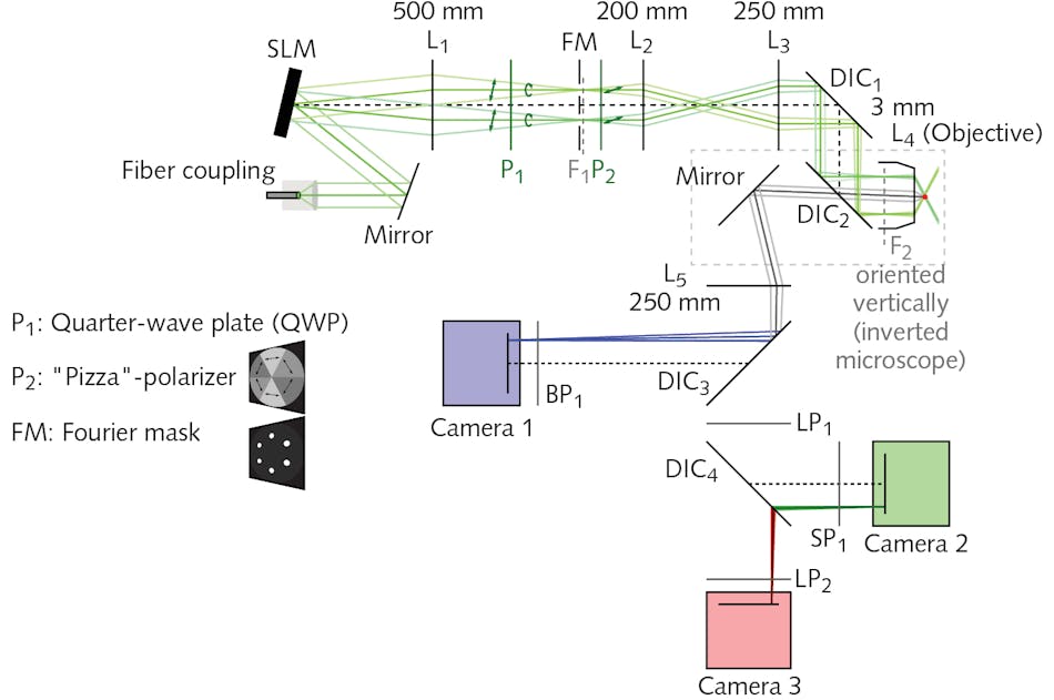 FIGURE 2. The optical layout of the new high-speed structured illumination microscope includes a spatial light modulator (SLM; the SXGA-3DM from Forth Dimension Displays), which serves as a switchable, binary optical grating to generate three interference patterns (quarter-wave plate, &ldquo;pizza&rdquo; polarizer, and Fourier mask) that are projected onto a specimen with different phases and at three different angles. The patterns are illuminated by a 12-mm-diameter collimated beam with from an argon-krypton (ArKr) laser (Innova 70C Spectrum from Coherent).