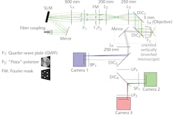 FIGURE 2. The optical layout of the new high-speed structured illumination microscope includes a spatial light modulator (SLM; the SXGA-3DM from Forth Dimension Displays), which serves as a switchable, binary optical grating to generate three interference patterns (quarter-wave plate, “pizza” polarizer, and Fourier mask) that are projected onto a specimen with different phases and at three different angles. The patterns are illuminated by a 12-mm-diameter collimated beam with from an argon-krypton (ArKr) laser (Innova 70C Spectrum from Coherent). FIGURE 2. The optical layout of the new high-speed structured illumination microscope includes a spatial light modulator (SLM; the SXGA-3DM from Forth Dimension Displays), which serves as a switchable, binary optical grating to generate three interference patterns (quarter-wave plate, “pizza” polarizer, and Fourier mask) that are projected onto a specimen with different phases and at three different angles. The patterns are illuminated by a 12-mm-diameter collimated beam with from an argon-krypton (ArKr) laser (Innova 70C Spectrum from Coherent).