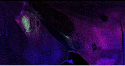 219539 Web 5df3be7c39552 219539 Web 5df3be7c39552