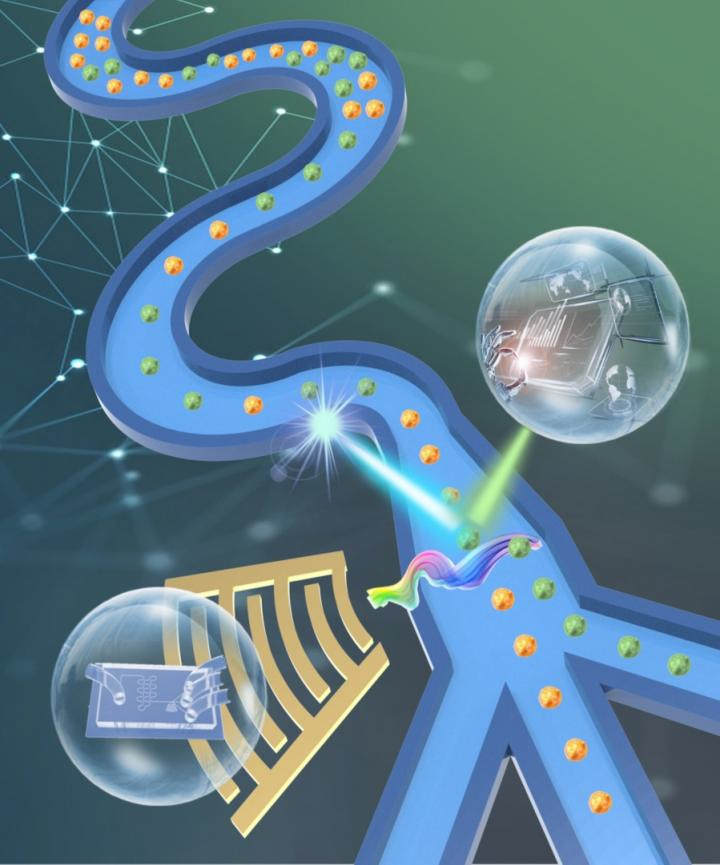 219868 Web 5df8f85e69bc6