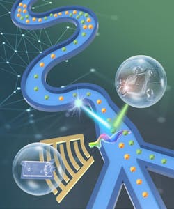 219868 Web 5df8f85e69bc6 219868 Web 5df8f85e69bc6