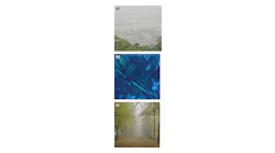 FIGURE 1. A test dataset for hazy images consists of a city view (a), a turbid underwater view (b), and a forest scene (c).