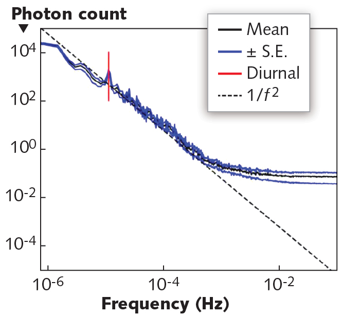 2001 Lfw Nb F1 5e274fe5d7a45