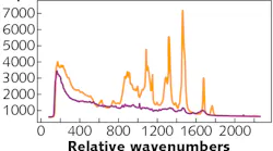 FIGURE 1. Raman spectra of lipid-rich fat tissue (orange) and protein-rich muscle tissue (purple); the broadband, autofluorescence background is clearly visible in both spectra, each of which was collected using a similar acquisition time.