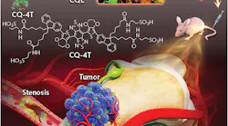 After synthesizing a small molecule that emits near 1100 nm, a Stanford-Wuhan University team increased its quantum yield by binding it to albumin. The dye complex has shown its ability to monitor both normal and abnormal circulatory flow.