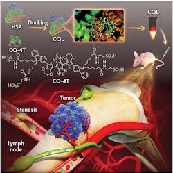 After synthesizing a small molecule that emits near 1100 nm, a Stanford-Wuhan University team increased its quantum yield by binding it to albumin. The dye complex has shown its ability to monitor both normal and abnormal circulatory flow. After synthesizing a small molecule that emits near 1100 nm, a Stanford-Wuhan University team increased its quantum yield by binding it to albumin. The dye complex has shown its ability to monitor both normal and abnormal circulatory flow.