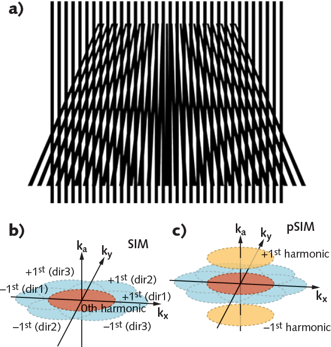 Structured illumination microscopy (SIM) provides spatial superresolution through analysis of the Moire pattern that results when two frequencies overlap (a). SIM expands the spatial reciprocal domain (b), while pSIM expands both the spatial and angular reciprocal domains (c).