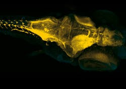 Andor 5e34902f327b5 Andor 5e34902f327b5