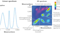 FIGURE 1. A 2D electronic spectrum contains many different types of information.