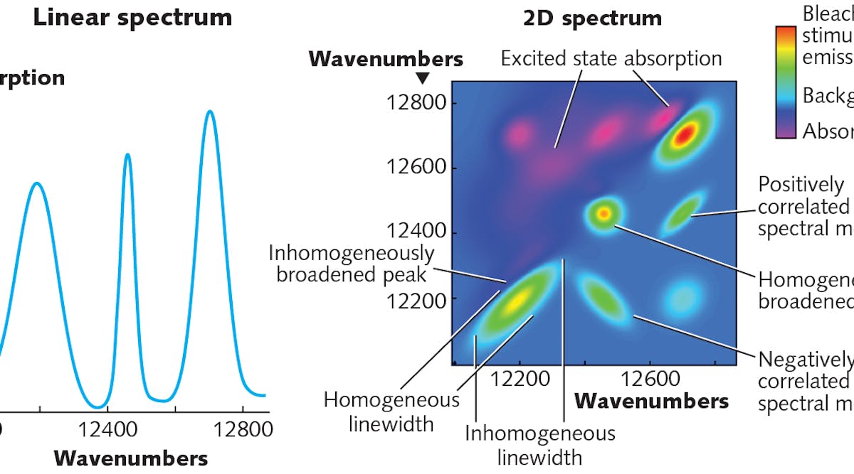 FIGURE 1. A 2D electronic spectrum contains many different types of information.