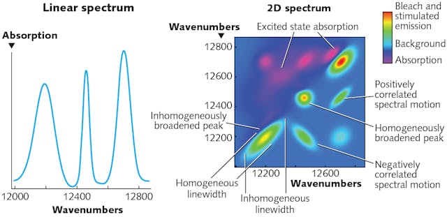 FIGURE 1. A 2D electronic spectrum contains many different types of information.