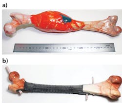 2003 Il Sbra Z03 2003 Il Sbra Z03