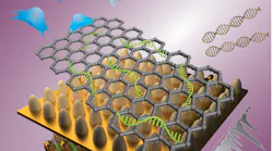 A new large-scale nanoarray demonstrates the ability to use electromagnetically and chemically enhanced Raman signals to quantify neural stem-cell differentiation.