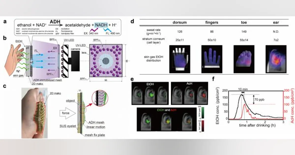 Gas imaging system visualizes, measures gases released through skin in ...