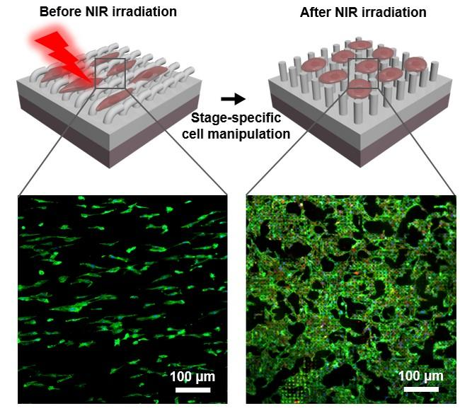 223484 Web 5e3b04210c7a9