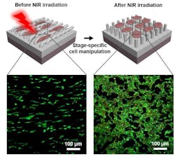 223484 Web 5e3b04210c7a9 223484 Web 5e3b04210c7a9