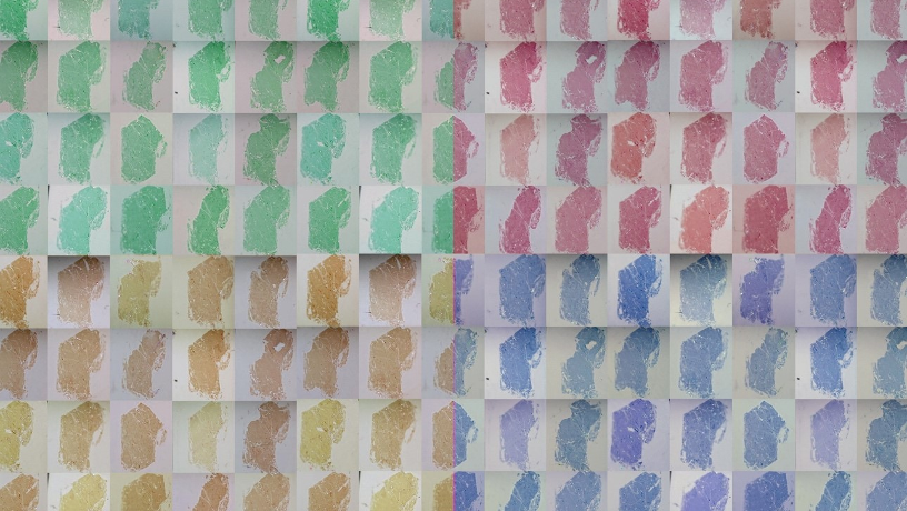 Atomically thin semiconductor (MoS2 monolayers, lateral dimension of each panel around 1 cm, wafer thickness of only about 0.7 nm) monolayers were obtained from layer-by-layer exfoliation of a MoS2 single crystal using the gold tape method. Images have been Photoshop-processed for artistic appeal.