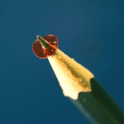 A photo of the 5 mm diameter micromotor rotor made of specially oriented polymer film is shown on a pencil tip. A photo of the 5 mm diameter micromotor rotor made of specially oriented polymer film is shown on a pencil tip.